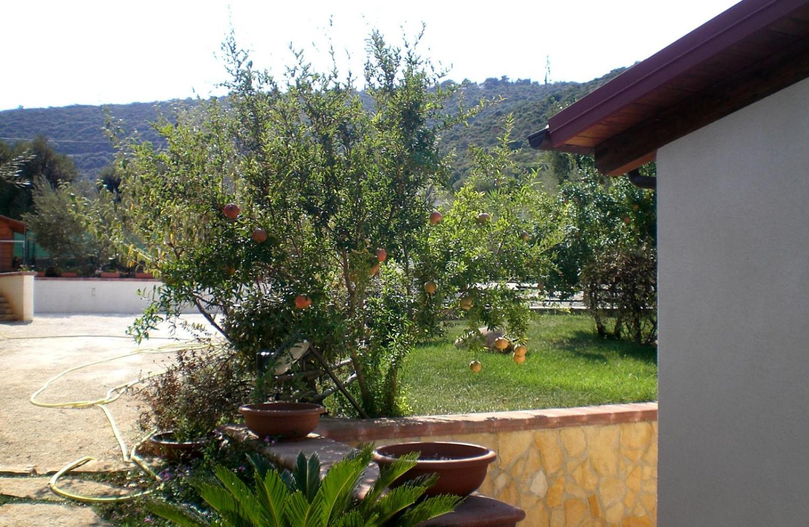 Bed&Breakfast La Casetta Monopoli Exterior foto