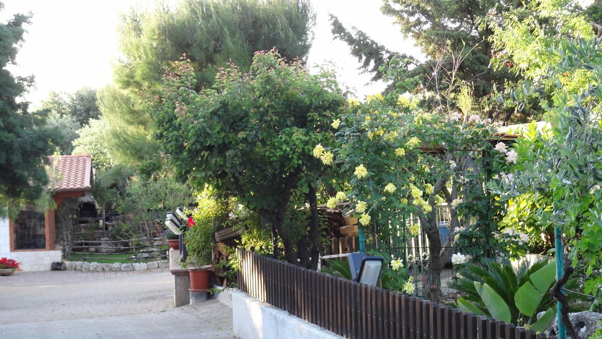 Bed&Breakfast La Casetta Monopoli Exterior foto
