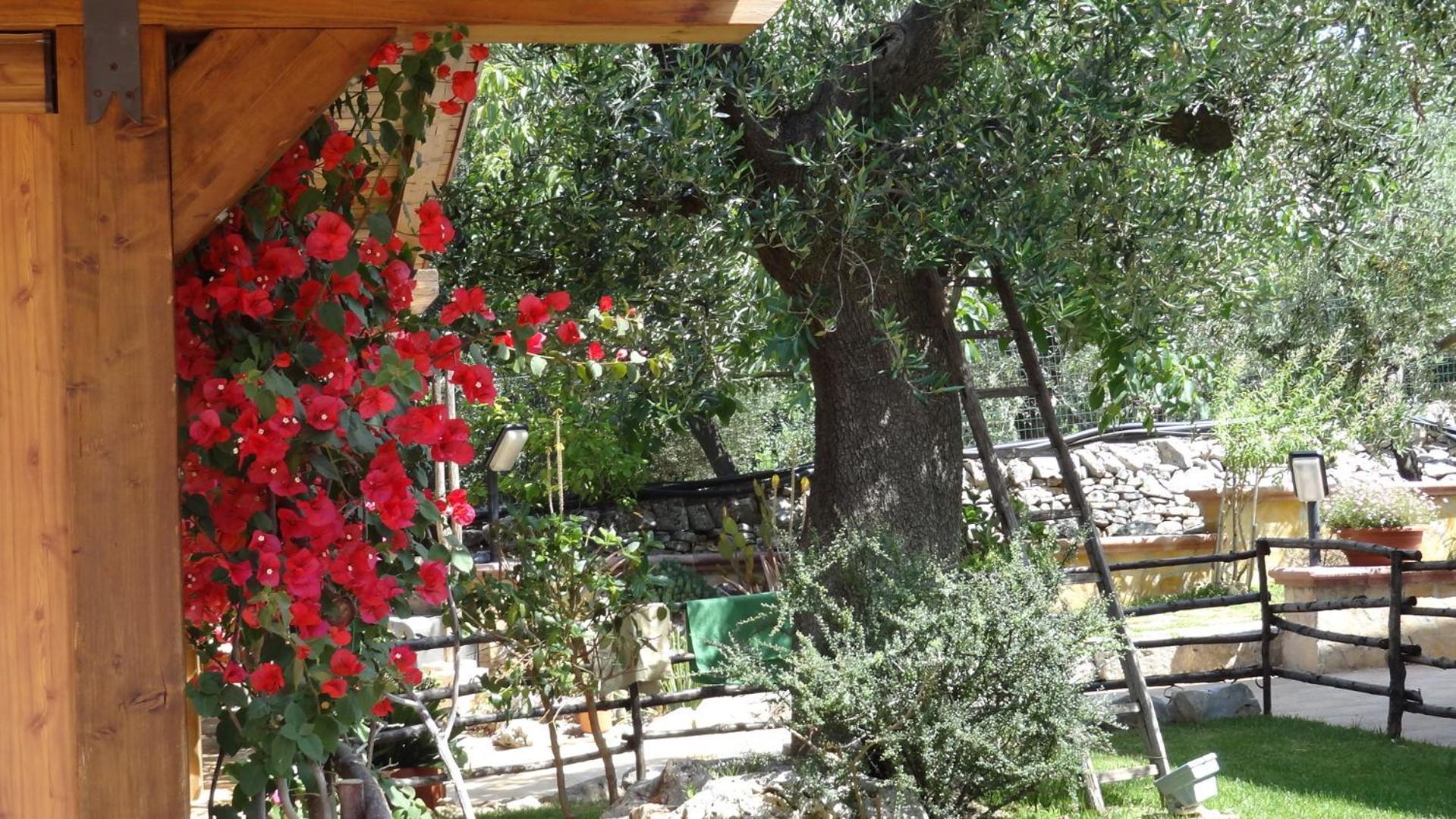 Bed&Breakfast La Casetta Monopoli Exterior foto