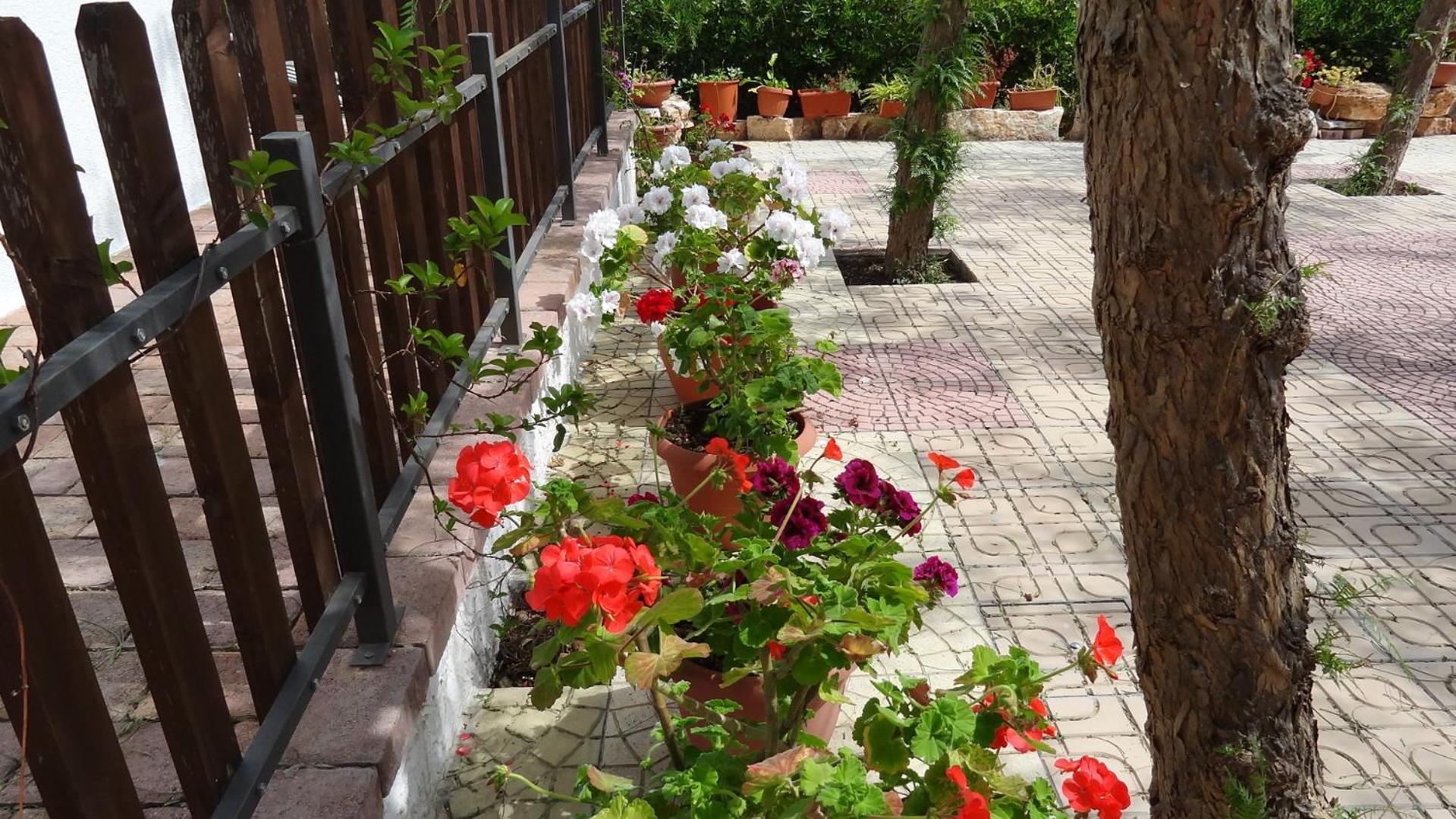 Bed&Breakfast La Casetta Monopoli Exterior foto